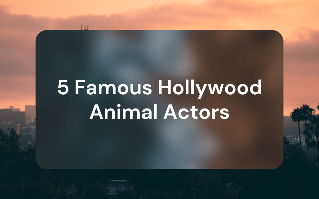 5 Famous Hollywood Animal Actors